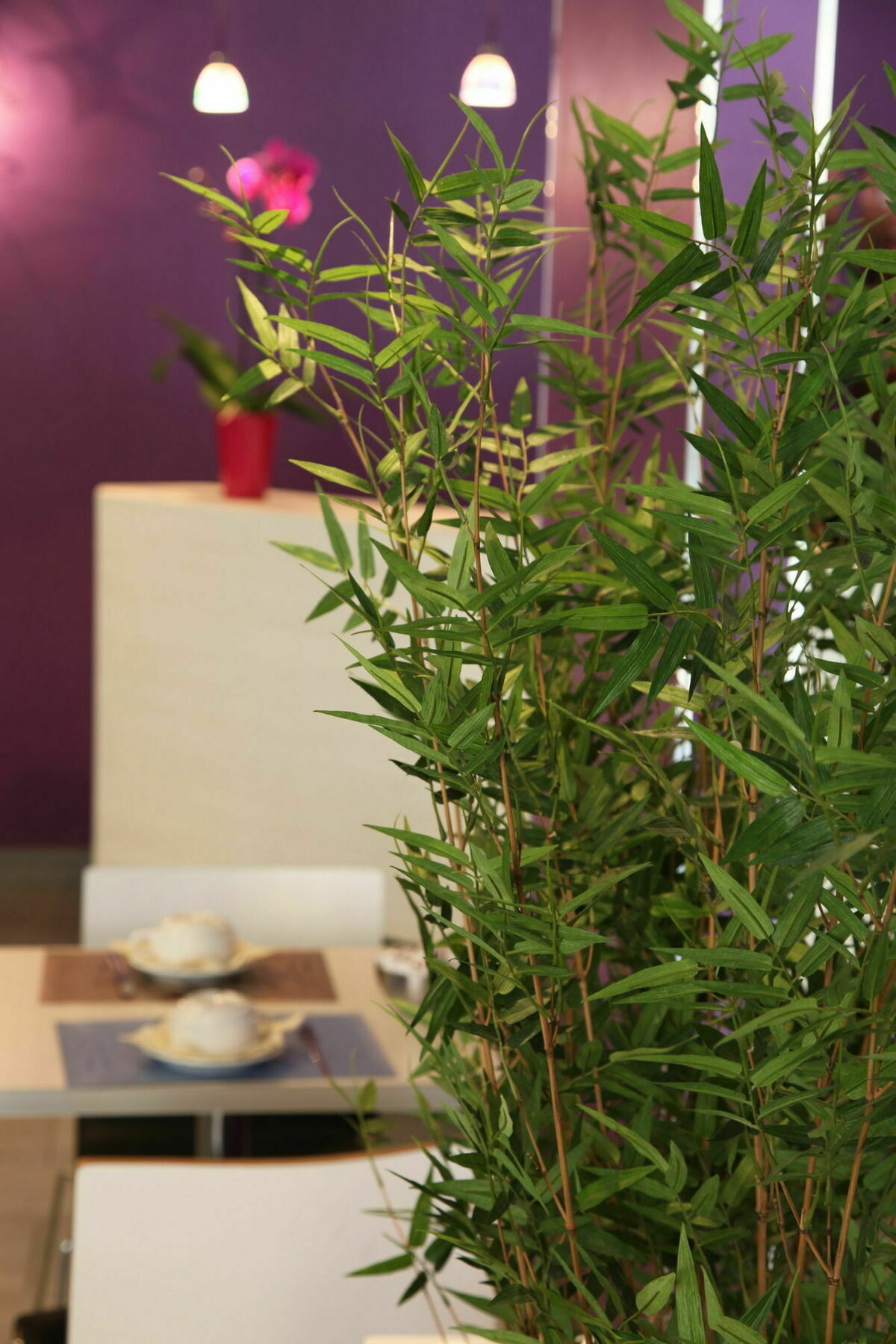 Icone Hotel - Άννεσι Εξωτερικό φωτογραφία